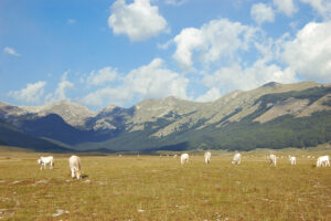 PIANI DI PEZZA foto Romano Sfirri