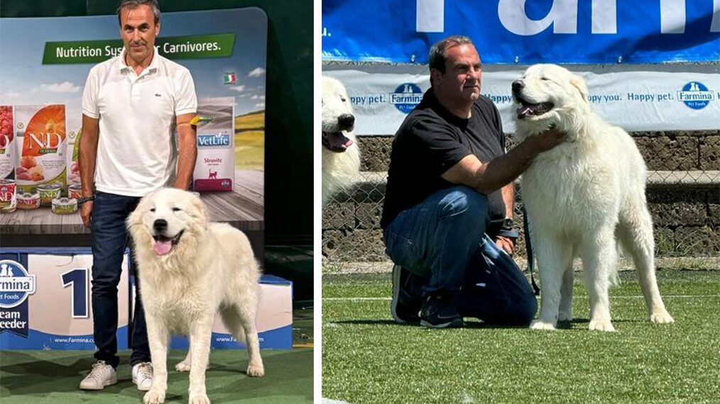 Gianluca CURTI e Paolo SALVI e cani